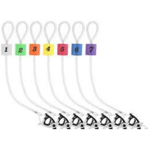 Cal Coast Fishing Culling System