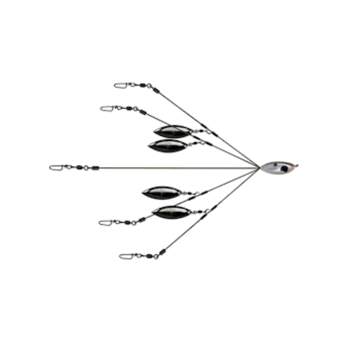 Picasso Perfection School-E-Rig