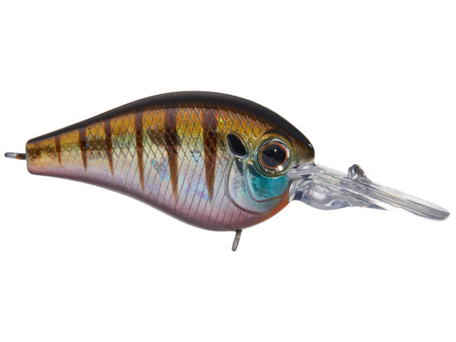 Evergreen Piccolo Crankbaits Evergreen Piccolo Crankbaits
