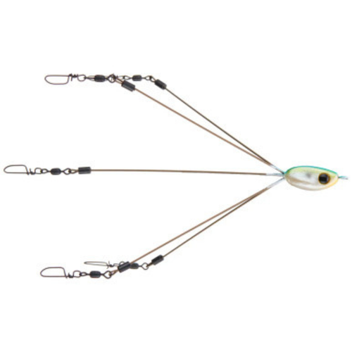 Picasso Perfection Jr School-E-Rig