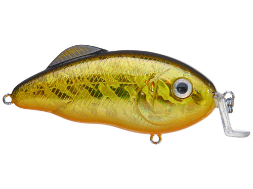 Strike King Hybrid Hunter Jr Crankbait Strike King Hybrid Hunter Jr Crankbait