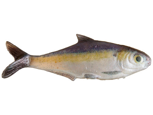 True Bass Texas Shad Line Through Swimbait 6" Fast Sink True Bass Texas Shad Line Through Swimbait 6" Fast Sink