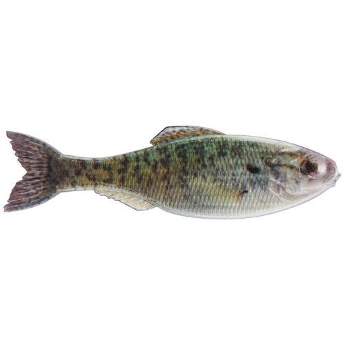6th Sense Panorama Swimbaits 6.5" (2 Pk)