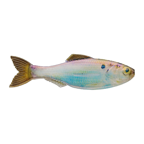 6th Sense Plump Panorama Swimbaits 5.0" (3 Pk)