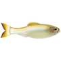 6th Sense Panorama Swimbaits 3.5" (6 Pk)