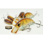 Deps Evoke 3.0 Squarebill Crankbait 3.14"