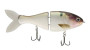 Bacca 6" Trick Shad
