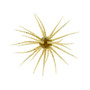 Hideup Coike 13mm Creature Bait