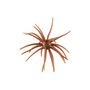 Hag's Prickly Pear Jr 9.9mm Creature Bait (2 Pk)