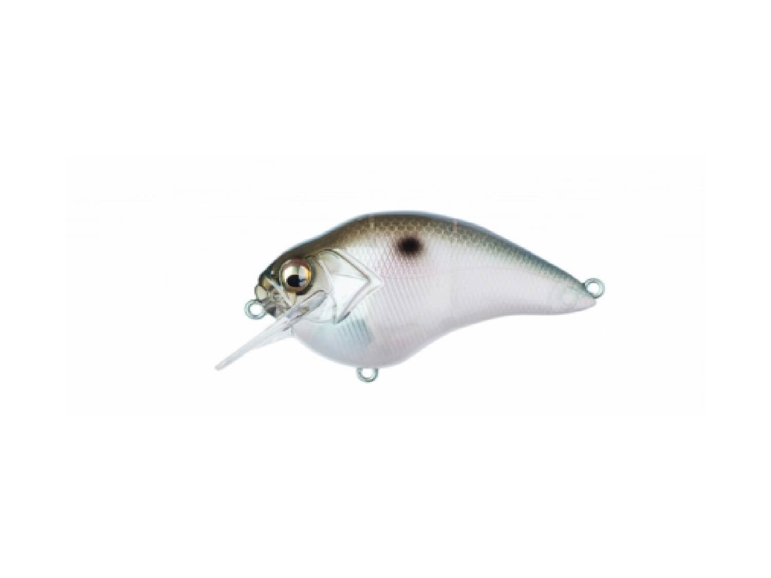 Shallow Diving Crankbaits