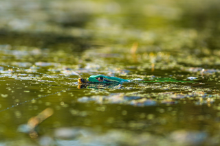 7 Small Changes That Can Make a Big Difference This Summer
