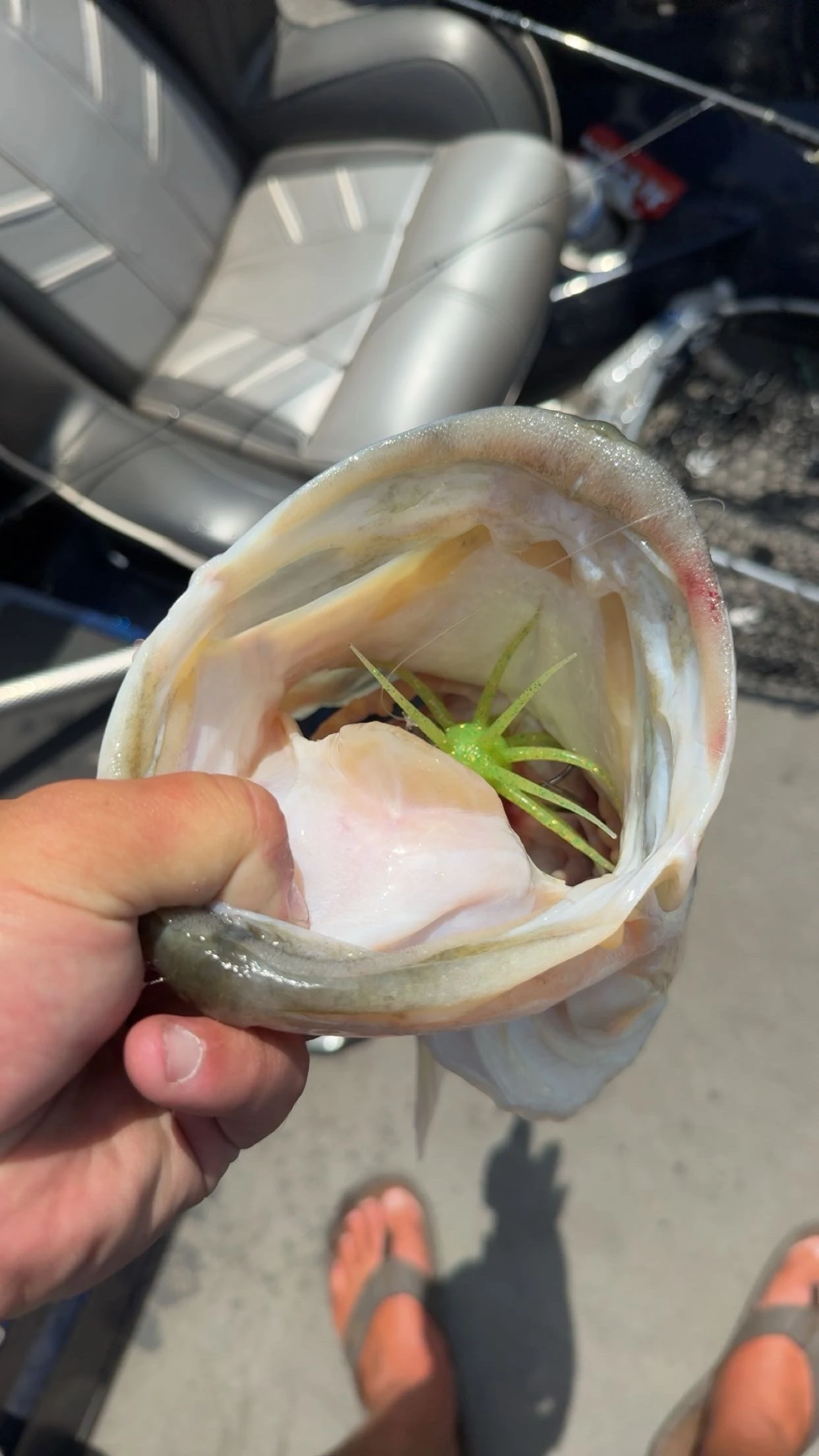Urchin-Style Baits: The New Look Bass Can’t Ignore