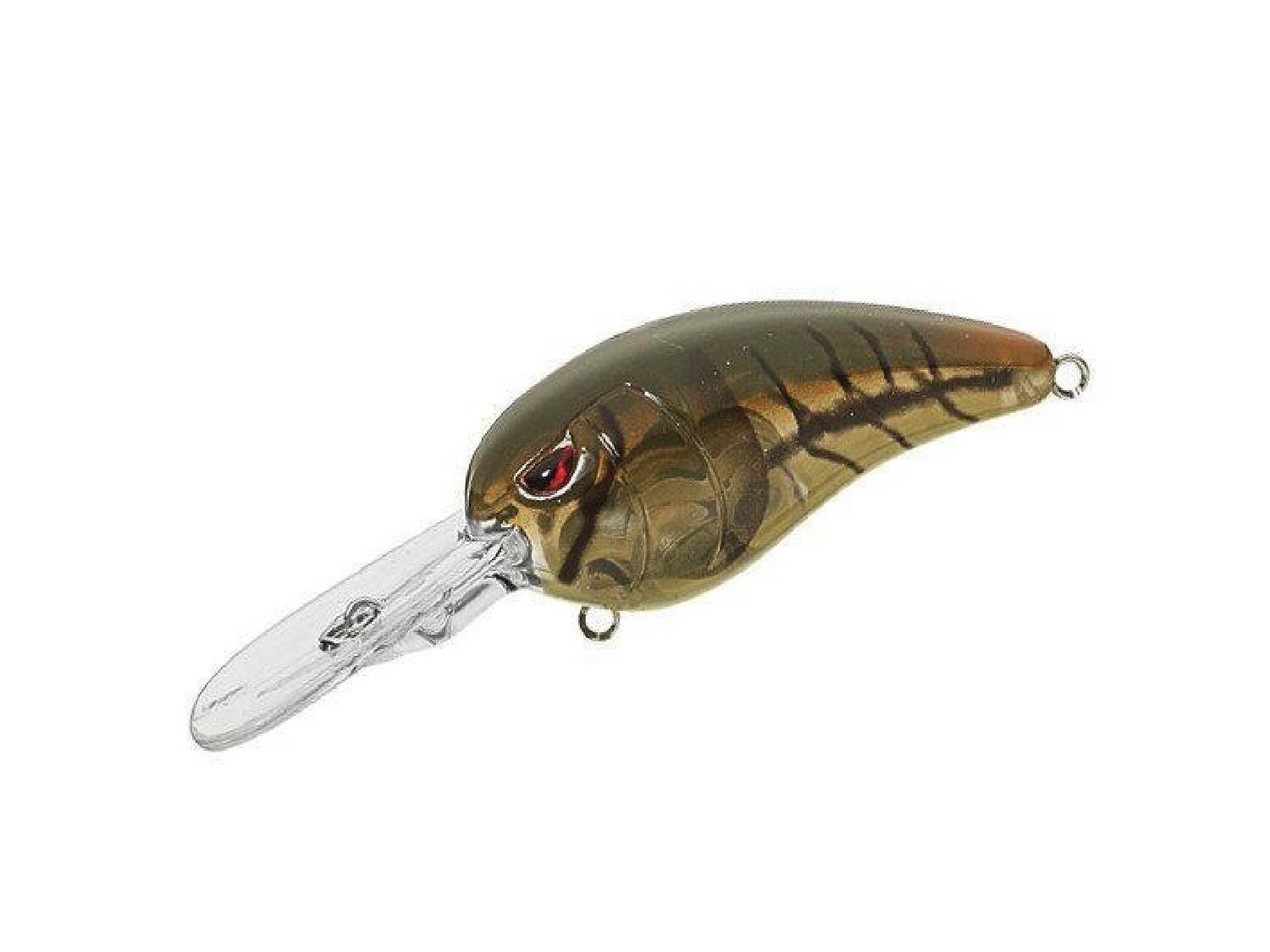 Hard Baits