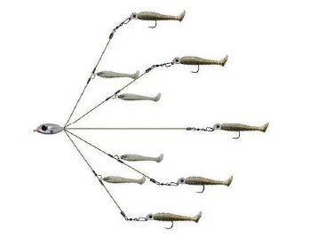 Umbrella Rigs