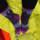 Darn Tough Women's Bear Town Micro Lightweight Cushioned Socks