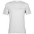 Icebreaker Tech Lite II Tee Ski Stripes