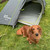 Jack Wolfskin Gossamer 1 Person Backpacking Tent - Special Edition - Rufus Not Included!