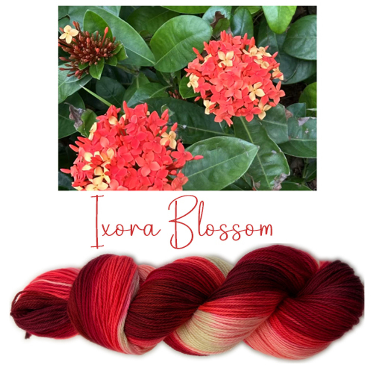 Ixora Blossoms Colorway Ixora Blossoms Colorway