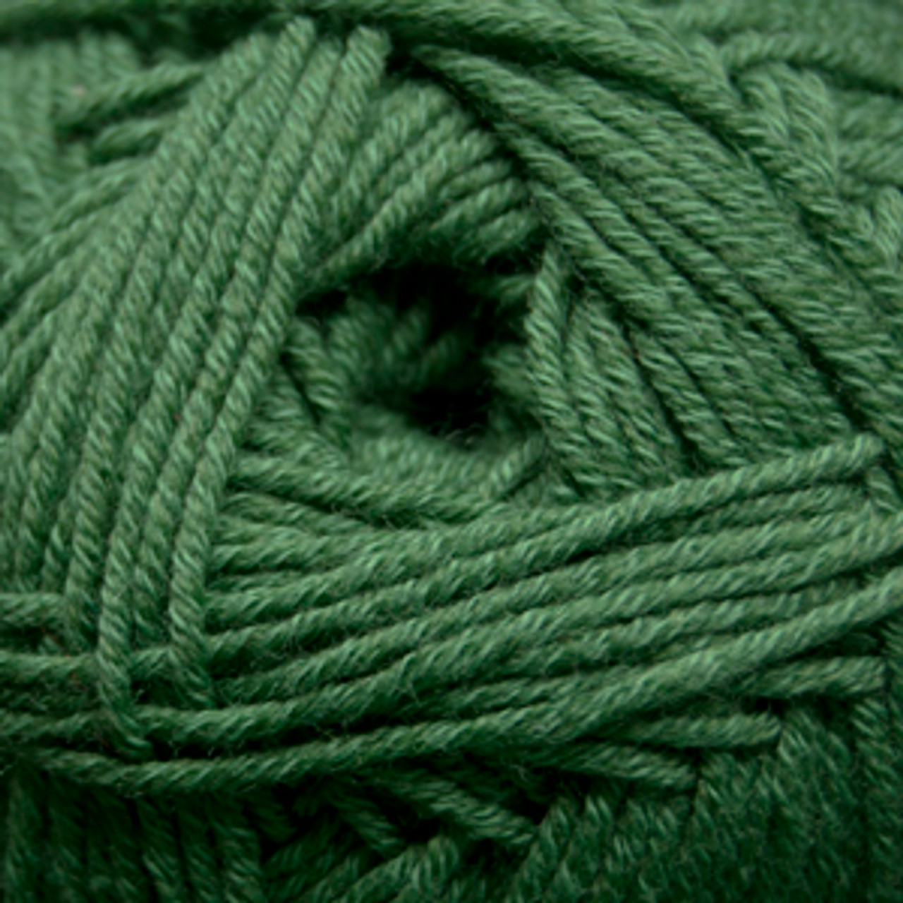 Cascade Yarn - Anchor Bay - Dark Green 14