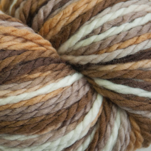 Closeup of Cascade Yarns - 128 Superwash Merino Wool Multi - Browns 107