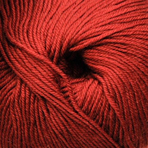 Closeup of Cascade Yarns - 220 Superwash - Burnt Orange 823