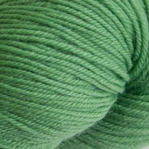 Closeup of Cascade Yarns - Heritage - Herb 5658