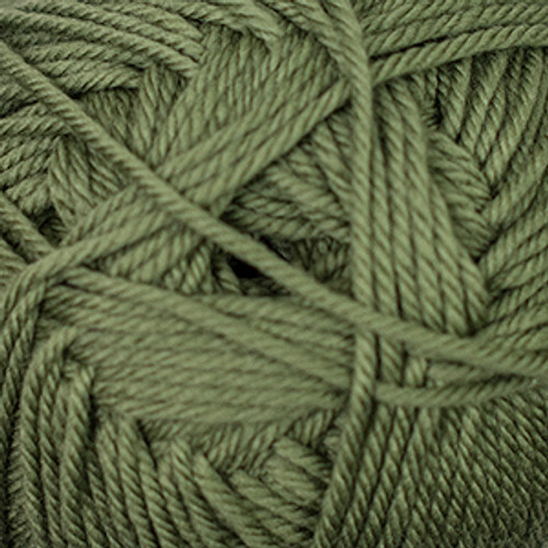 Closeup of Cascade Yarns - 220 Superwash Merino - Iguana 58