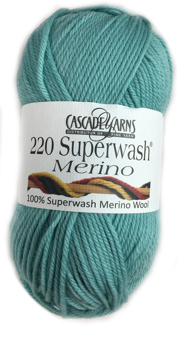Skein of Cascade Yarns - 220 Superwash Merino - Aqua Haze 89