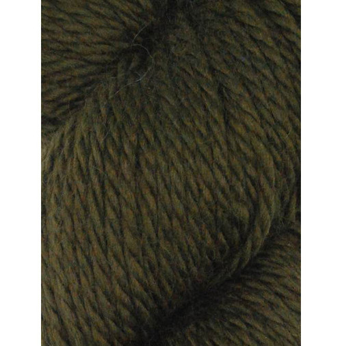 manufacturer's closeup of Ella Rae Yarn - Cozy Alpaca Chunky - Basil 554