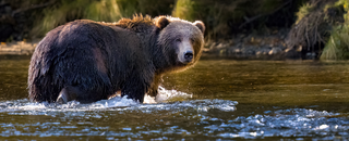 Kodiak Island Fishing Adventure