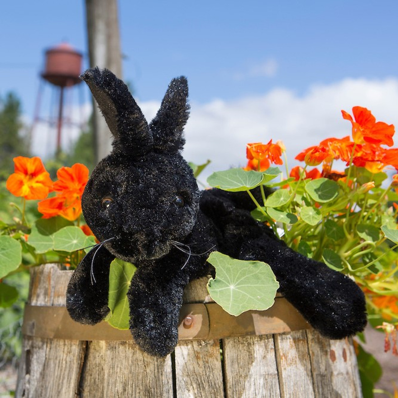 Black Rabbit Plush Toy - McMenamins Online Shop