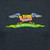 Flying Washington T-Shirt