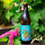 Tropical Wave Cider