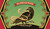 Gift Card - Crow