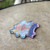 Edgefield Magnet 