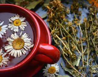 Ingredient Spotlight: Chamomile