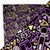 Enby (Non-binary) Vibes Bandana by Crushworthy – a sexy queer patterned hanky