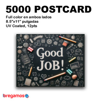 5000 Postcards  8.5x11 Full Color