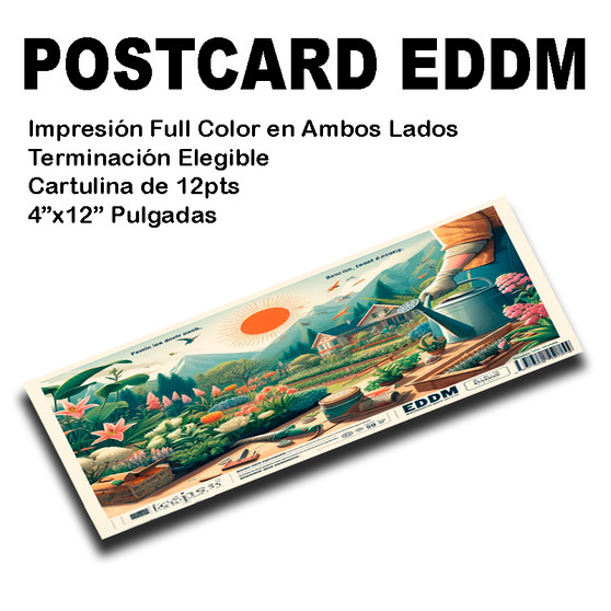 5000 EDDM Postcards 4x12 Full Color UV Coated Entrega Gratis Puerto Rico