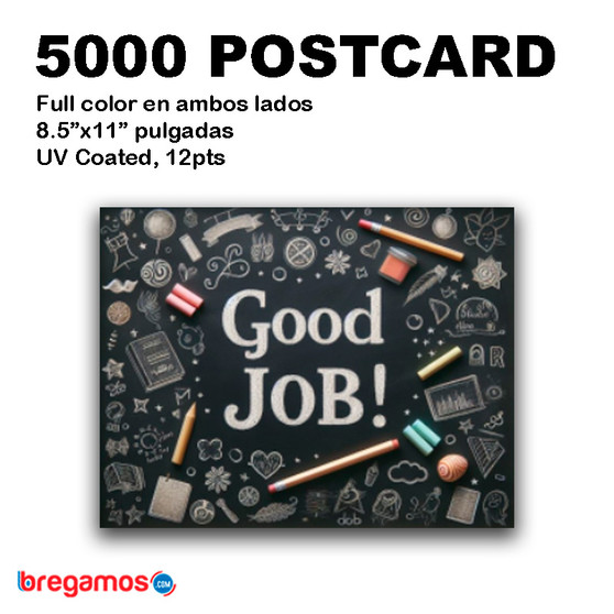 5000 Postcards  8.5x11 Full Color