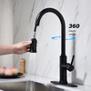 Single Handle Pull Down Kitchen Faucet with Dual Function Sprayhead