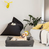 Memory Foam Dog Bed, 4'' Orthopedic Anti-Anxiety Crate Mats, Travel Couch Bed for Cute Dogs, with Durable Washable Pet Beds Cover and Pillow, Gray Memory Foam Dog Bed, 4'' Orthopedic Anti-Anxiety Crate Mats, Travel Couch Bed for Cute Dogs, with Durable Washable Pet Beds Cover and Pillow, Gray