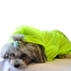 The Ultimate Waterproof Thunder-Paw Adjustable Zippered Folding Travel Dog Raincoat