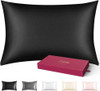 Silk Pillowcase for Hair and Skin 1 Pack, 22 Momme 100% Mulberry Silk & Natural Wood Pulp Fiber Double-Sided Design, Silk Pillow Covers with 600 Thread Count, Hidden Zipper (20"x26", Black)