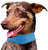 Pet Life Summer-Cooling' Insert Able And Adjustable Cooling Ice Pack Dog Neck Wrap Pet Life Summer-Cooling' Insert Able And Adjustable Cooling Ice Pack Dog Neck Wrap