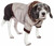 Metallic Fashion Pet Parka Coat Metallic Fashion Pet Parka Coat