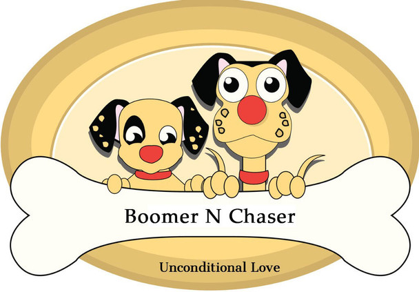 Plastic Framed Double Diner Pet Bowl in Stainless Steel, Large, Gold and Silver Plastic Framed Double Diner Pet Bowl in Stainless Steel, Large, Gold and Silver