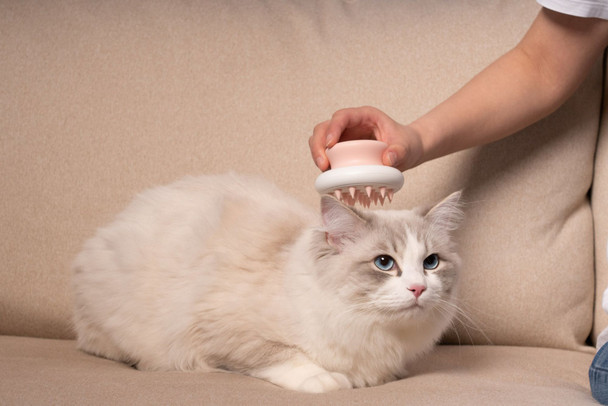 Pet Life ® 'Scwubba' Handheld Bathing Brushing and Massaging Soft Flexible Grooming Pet Comb