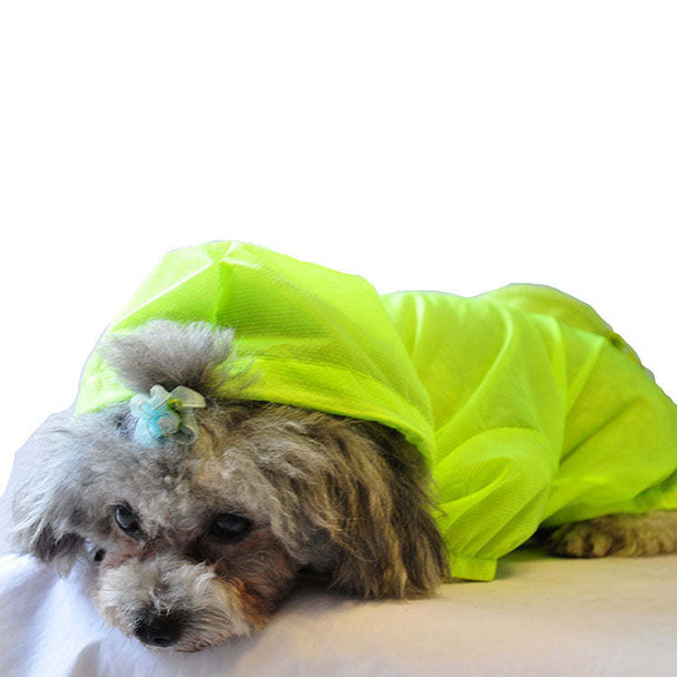 The Ultimate Waterproof Thunder-Paw Adjustable Zippered Folding Travel Dog Raincoat