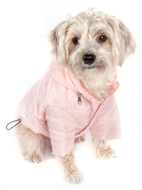 Lightweight Adjustable 'Sporty Avalanche' Pet Coat